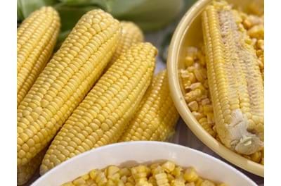ذرت تازه شارژ شده🌽